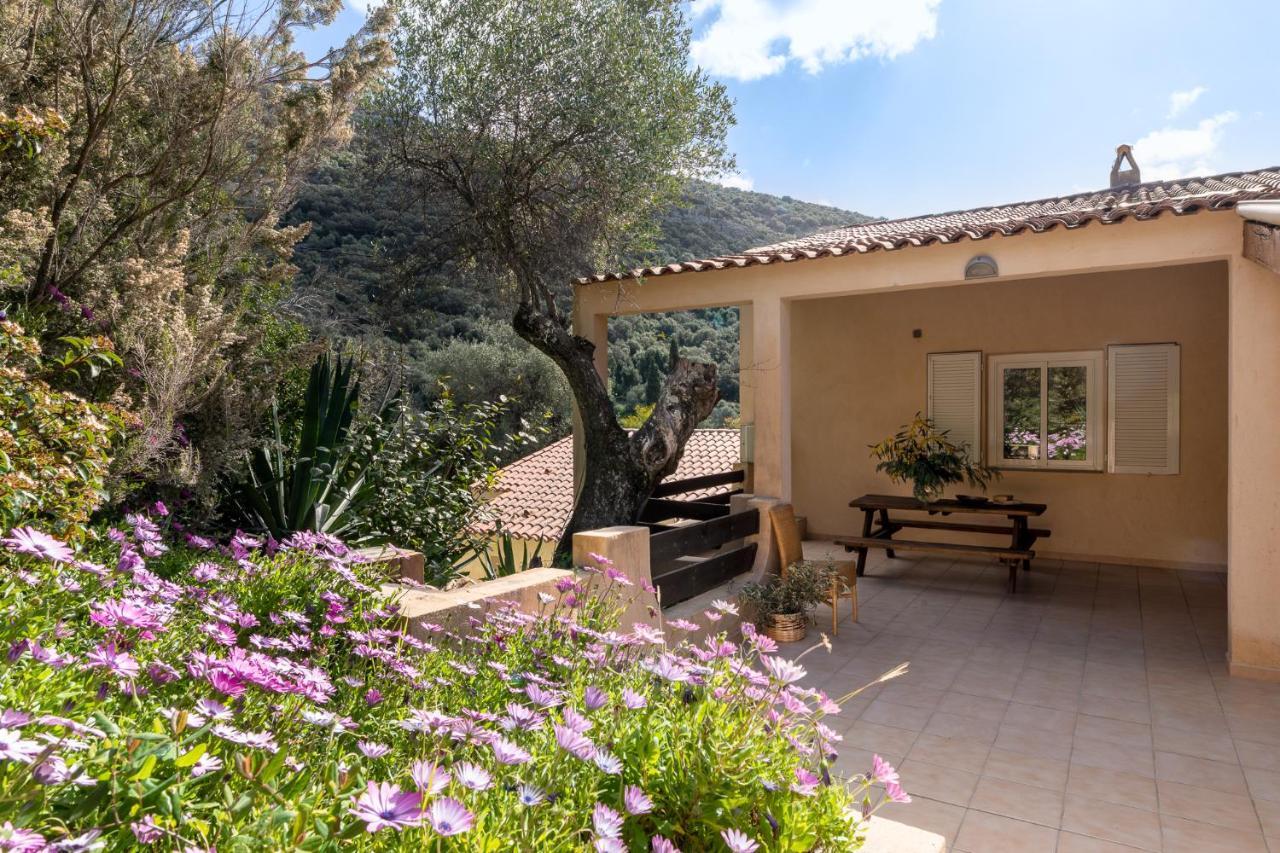 Residence Helios Cargese Exterior photo