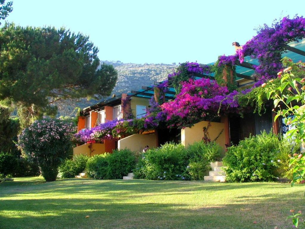 Residence Helios Cargese Exterior photo